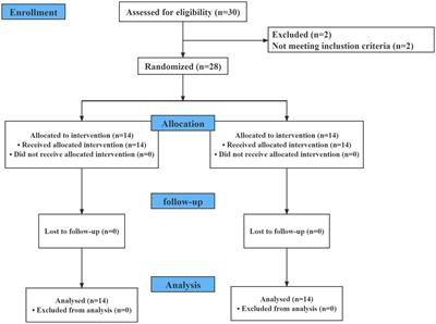 Comparative analysis of the effect of electromyogram to bispectral index and 95% spectral edge frequency under remimazolam and propofol anesthesia: a prospective, randomized, controlled clinical trial